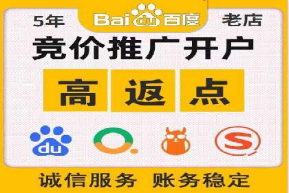 竞价推广公司经典案例：打造行业领先的广告投放效果
